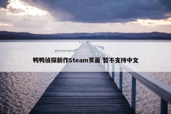 鸭鸭侦探新作Steam页面 暂不支持中文