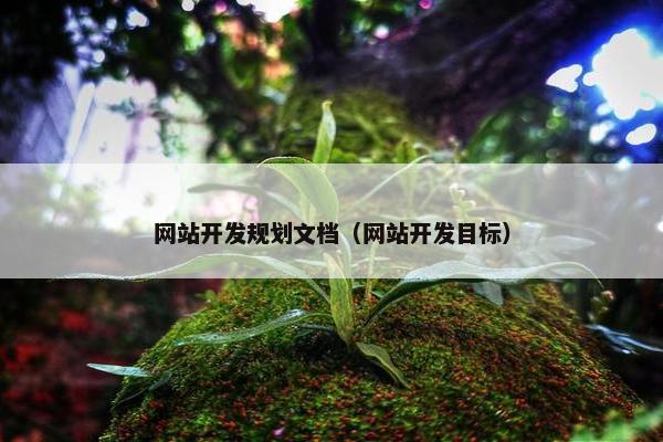 网站开发规划文档（网站开发目标）