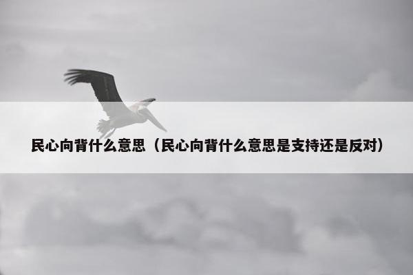 民心向背什么意思（民心向背什么意思是支持还是反对）