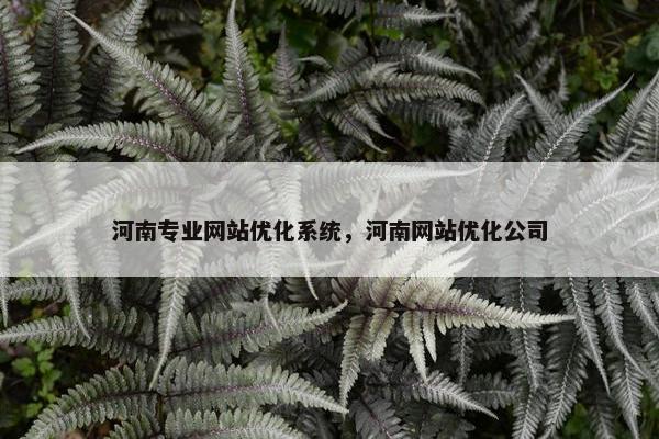 河南专业网站优化系统，河南网站优化公司