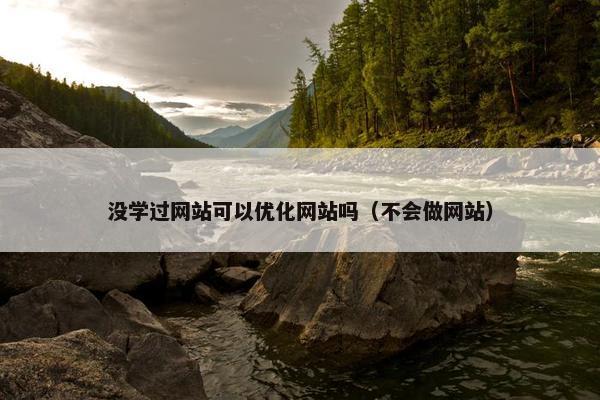 没学过网站可以优化网站吗（不会做网站）