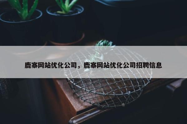 鹿寨网站优化公司，鹿寨网站优化公司招聘信息