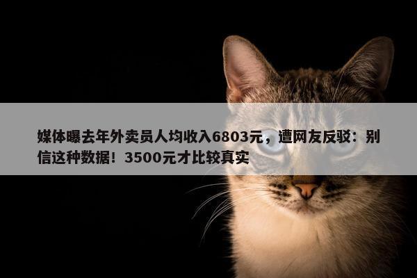 媒体曝去年外卖员人均收入6803元，遭网友反驳：别信这种数据！3500元才比较真实