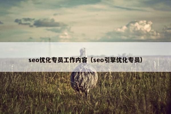 seo优化专员工作内容（seo引擎优化专员）