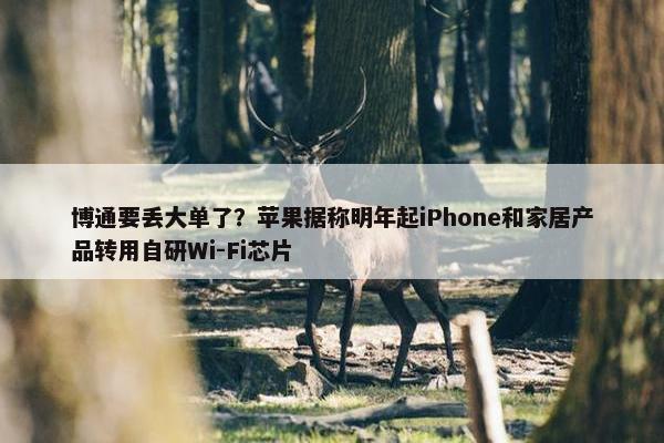 博通要丢大单了？苹果据称明年起iPhone和家居产品转用自研Wi-Fi芯片