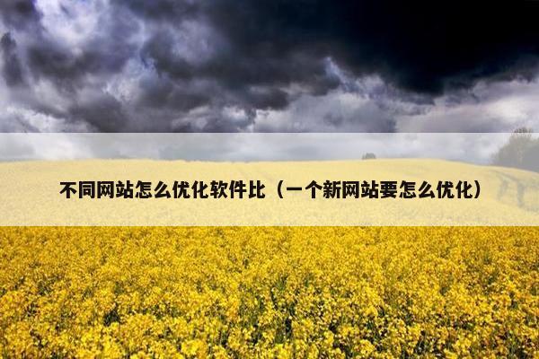 不同网站怎么优化软件比（一个新网站要怎么优化）