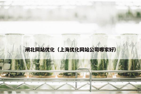 闸北网站优化（上海优化网站公司哪家好）