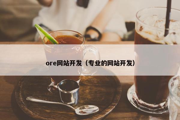 ore网站开发（专业的网站开发）