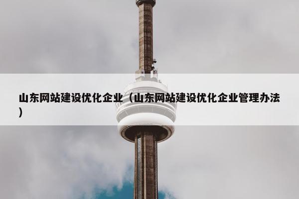 山东网站建设优化企业（山东网站建设优化企业管理办法）