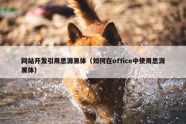 网站开发引用思源黑体（如何在office中使用思源黑体）