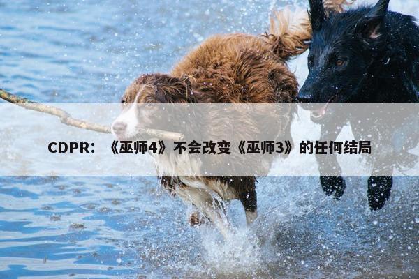 CDPR：《巫师4》不会改变《巫师3》的任何结局