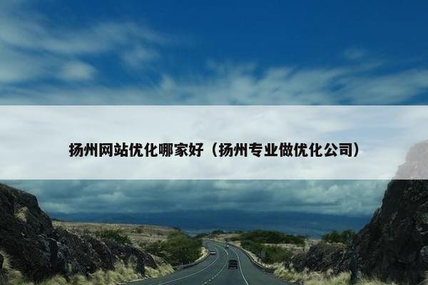 扬州网站优化哪家好（扬州专业做优化公司）