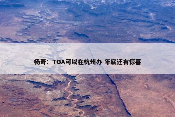 杨奇：TGA可以在杭州办 年底还有惊喜