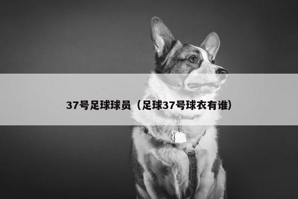 37号足球球员（足球37号球衣有谁）