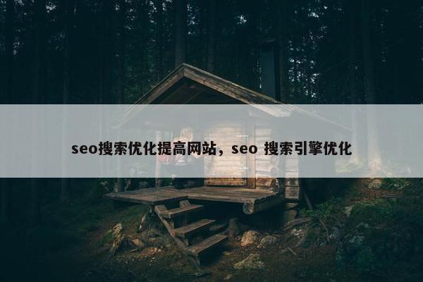 seo搜索优化提高网站，seo 搜索引擎优化