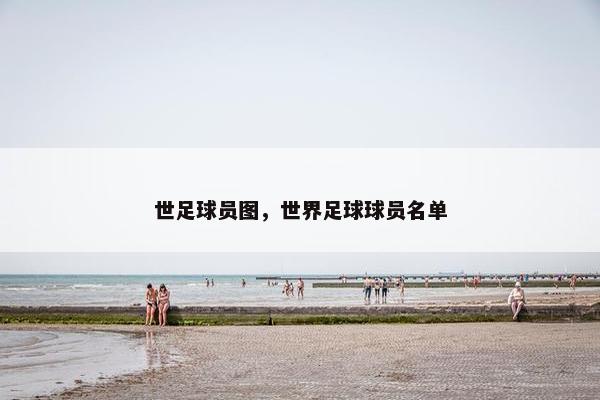 世足球员图，世界足球球员名单