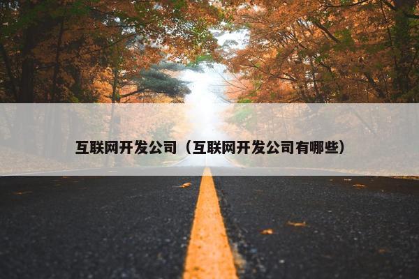 互联网开发公司（互联网开发公司有哪些）