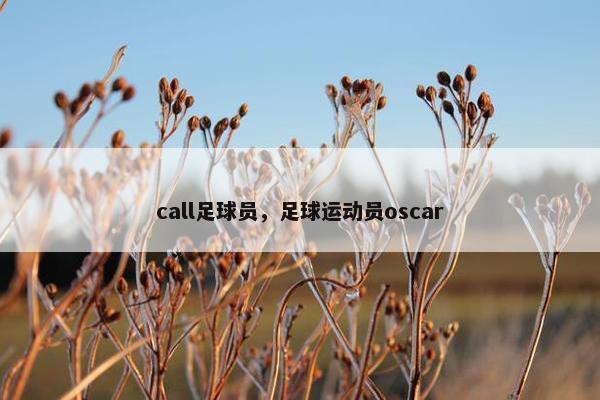 call足球员，足球运动员oscar