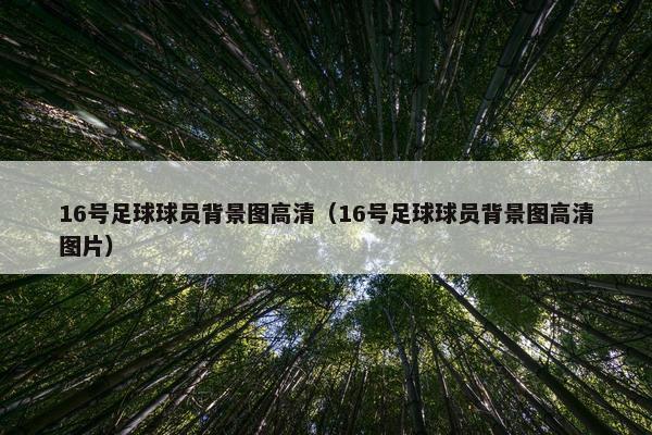 16号足球球员背景图高清（16号足球球员背景图高清图片）