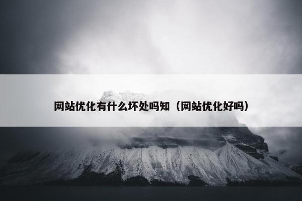 网站优化有什么坏处吗知（网站优化好吗）