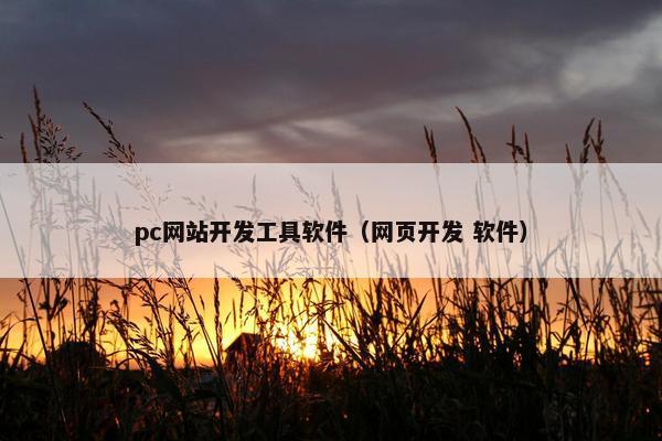 pc网站开发工具软件（网页开发 软件）