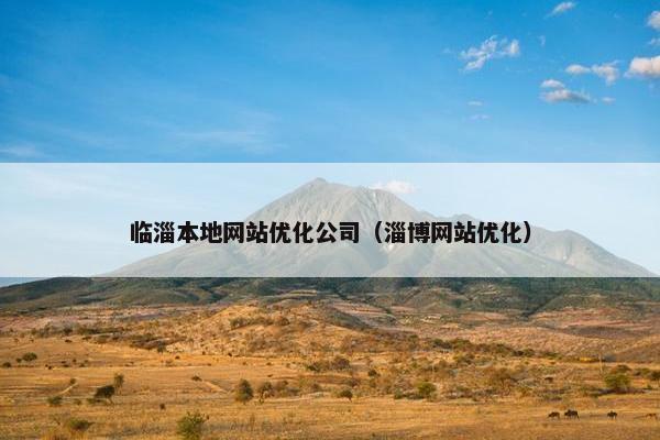 临淄本地网站优化公司（淄博网站优化）