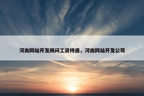 河南网站开发顾问工资待遇，河南网站开发公司