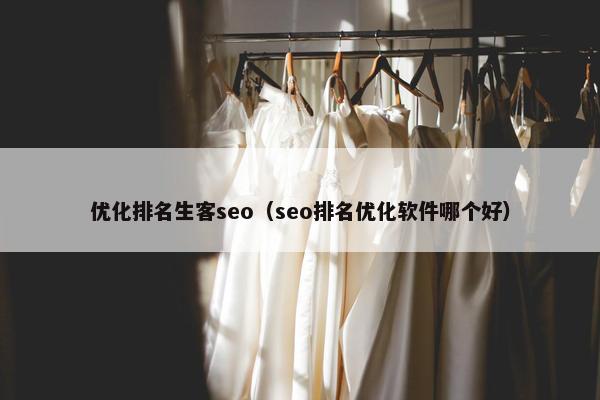 优化排名生客seo（seo排名优化软件哪个好）