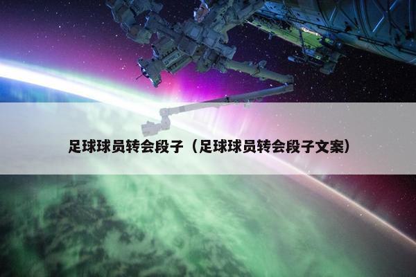 足球球员转会段子（足球球员转会段子文案）