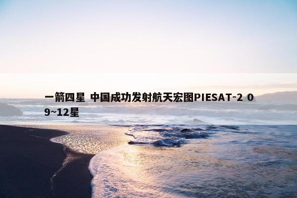 一箭四星 中国成功发射航天宏图PIESAT-2 09~12星