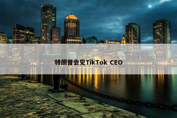 特朗普会见TikTok CEO