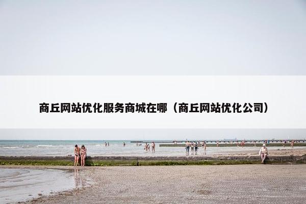 商丘网站优化服务商城在哪（商丘网站优化公司）