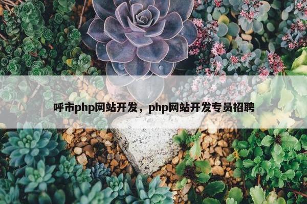 呼市php网站开发，php网站开发专员招聘