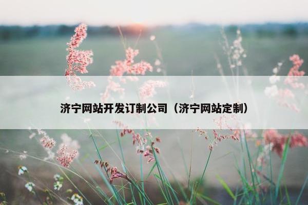 济宁网站开发订制公司（济宁网站定制）