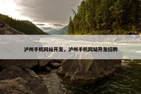 泸州手机网站开发，泸州手机网站开发招聘