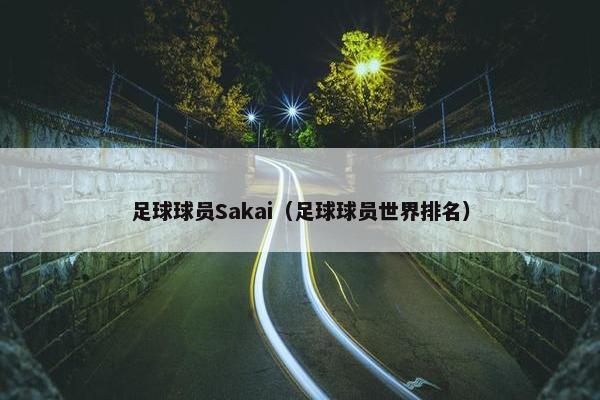 足球球员Sakai（足球球员世界排名）