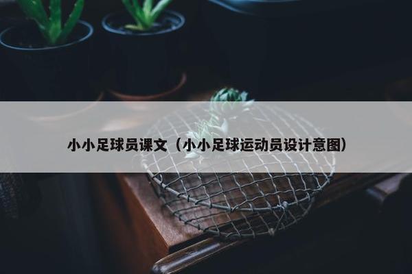 小小足球员课文（小小足球运动员设计意图）