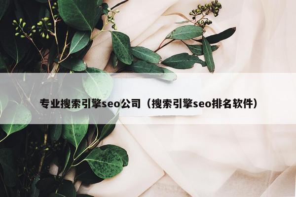 专业搜索引擎seo公司（搜索引擎seo排名软件）