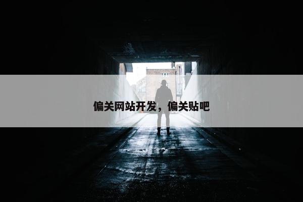 偏关网站开发，偏关贴吧