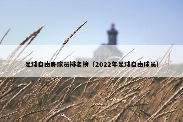 足球自由身球员排名榜（2022年足球自由球员）