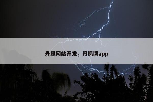 丹凤网站开发，丹凤网app