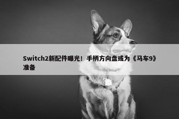 Switch2新配件曝光！手柄方向盘或为《马车9》准备