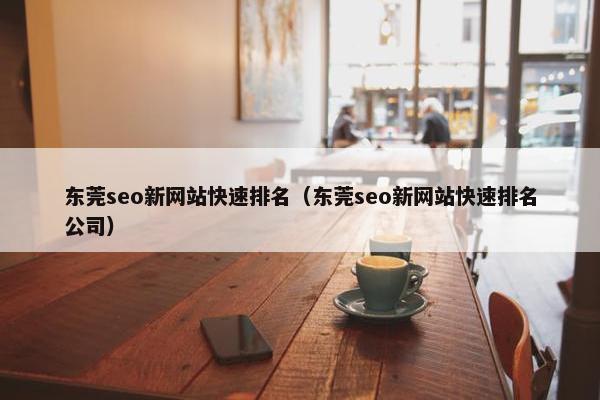 东莞seo新网站快速排名（东莞seo新网站快速排名公司）