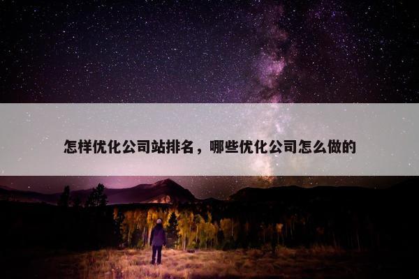 怎样优化公司站排名，哪些优化公司怎么做的