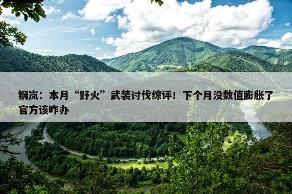 钢岚：本月“野火”武装讨伐综评！下个月没数值膨胀了官方该咋办