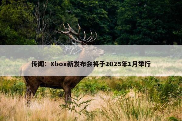 传闻：Xbox新发布会将于2025年1月举行