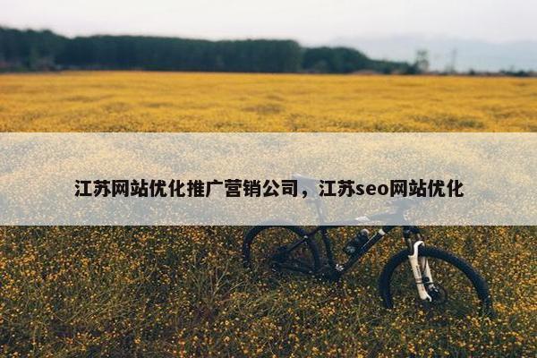 江苏网站优化推广营销公司，江苏seo网站优化