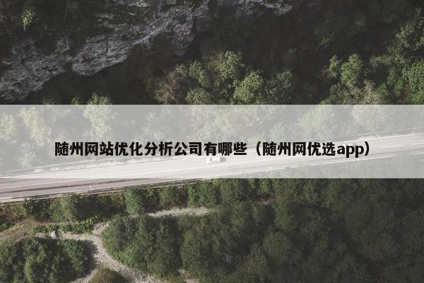 随州网站优化分析公司有哪些（随州网优选app）