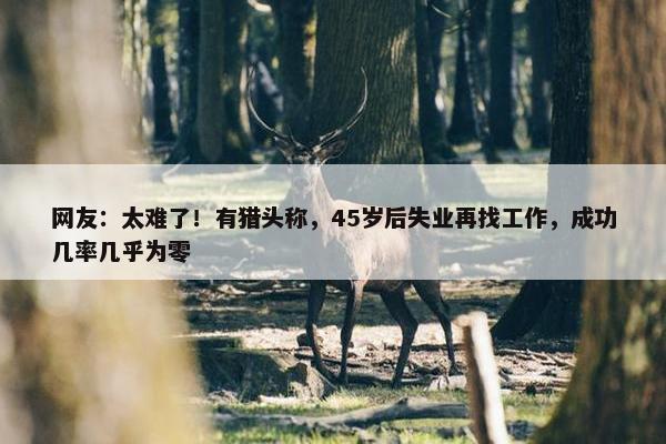 网友：太难了！有猎头称，45岁后失业再找工作，成功几率几乎为零