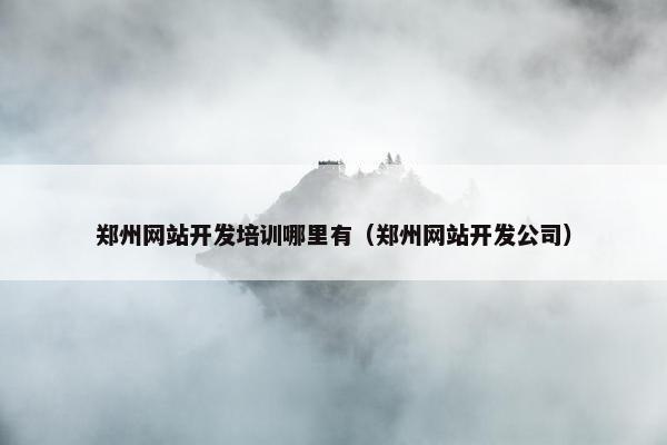 郑州网站开发培训哪里有（郑州网站开发公司）